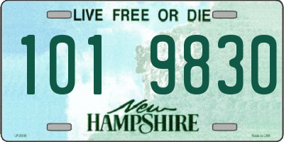 NH license plate 1019830