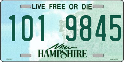 NH license plate 1019845