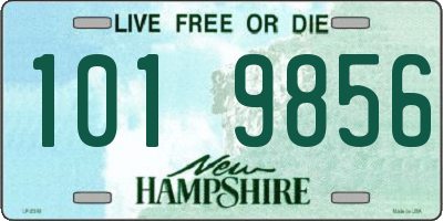 NH license plate 1019856