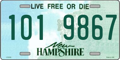 NH license plate 1019867