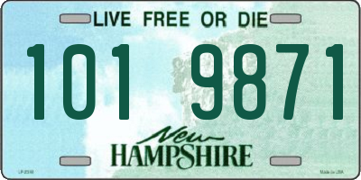 NH license plate 1019871
