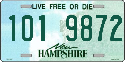NH license plate 1019872