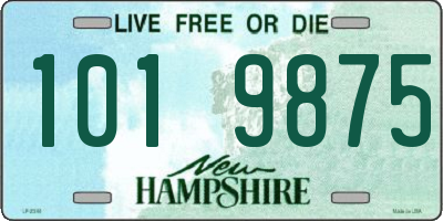 NH license plate 1019875