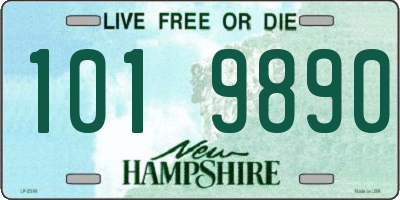 NH license plate 1019890