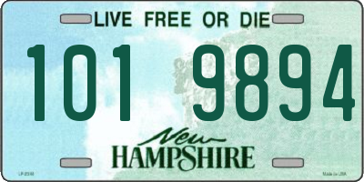 NH license plate 1019894