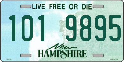 NH license plate 1019895