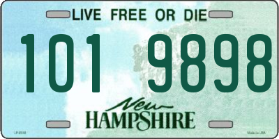 NH license plate 1019898