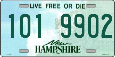 NH license plate 1019902