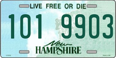 NH license plate 1019903