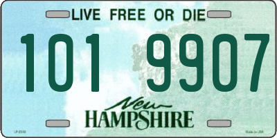 NH license plate 1019907