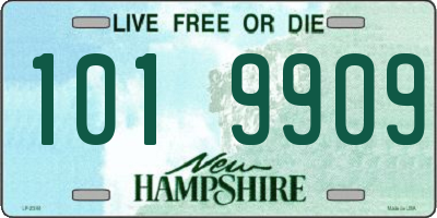NH license plate 1019909
