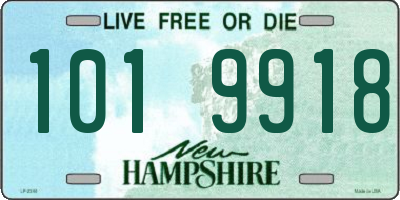 NH license plate 1019918