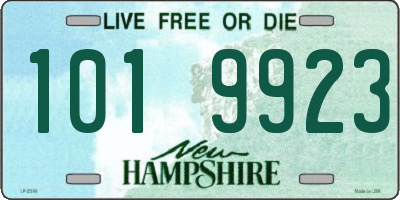 NH license plate 1019923