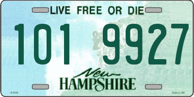 NH license plate 1019927