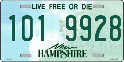 NH license plate 1019928