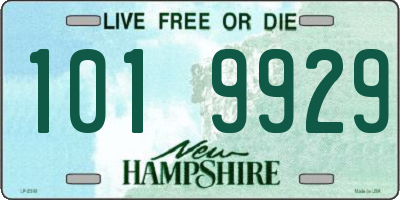 NH license plate 1019929