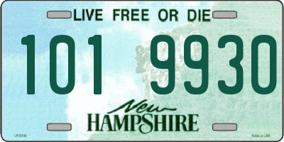 NH license plate 1019930