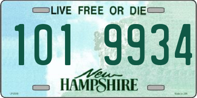 NH license plate 1019934