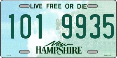 NH license plate 1019935