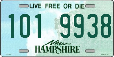 NH license plate 1019938