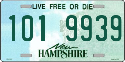 NH license plate 1019939