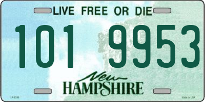 NH license plate 1019953