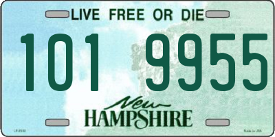 NH license plate 1019955