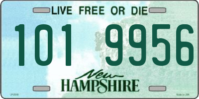 NH license plate 1019956