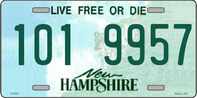 NH license plate 1019957