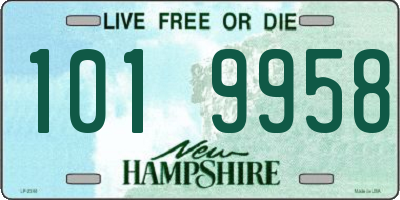 NH license plate 1019958
