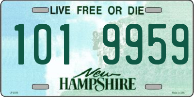 NH license plate 1019959