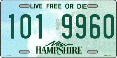 NH license plate 1019960