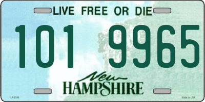 NH license plate 1019965