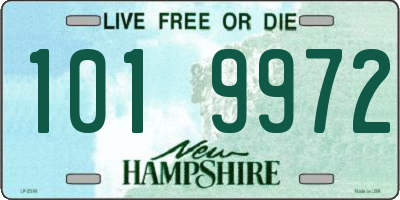 NH license plate 1019972