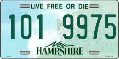 NH license plate 1019975