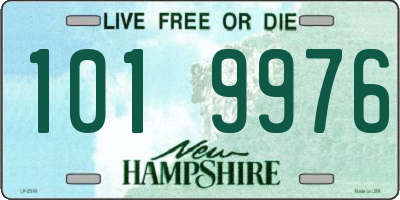 NH license plate 1019976