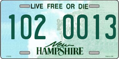 NH license plate 1020013
