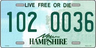 NH license plate 1020036