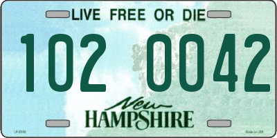 NH license plate 1020042