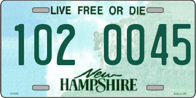 NH license plate 1020045
