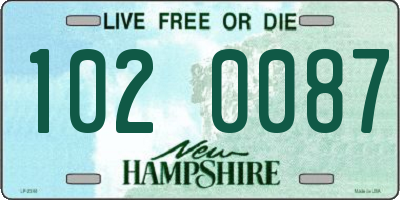 NH license plate 1020087