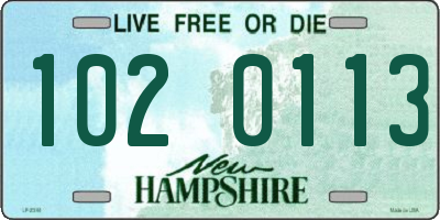 NH license plate 1020113
