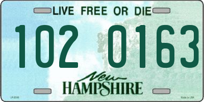 NH license plate 1020163