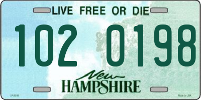 NH license plate 1020198