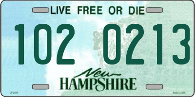 NH license plate 1020213