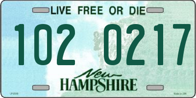 NH license plate 1020217