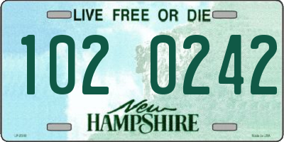 NH license plate 1020242