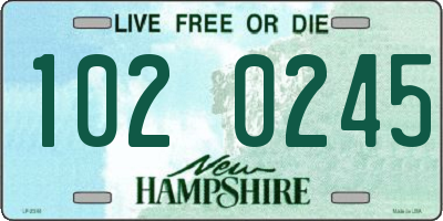 NH license plate 1020245