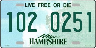 NH license plate 1020251