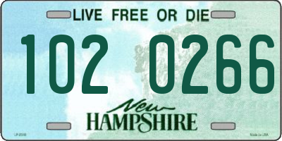 NH license plate 1020266